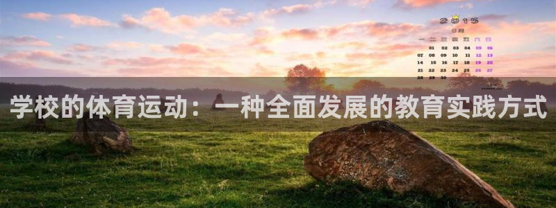 雷鸟体育正版下载：学校的体育运动：一种全面发展的教育实践方式