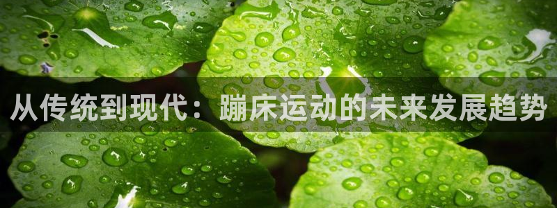 雷鸟体育免费下载：从传统到现代：蹦床运动的未来发展趋势