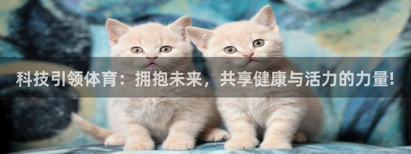 雷鸟体育官网入口：科技引领体育：拥抱未来，共享健康与活力的力量!