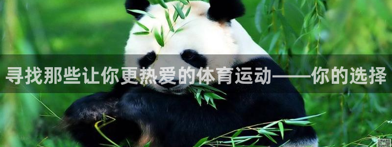雷鸟体育cba：寻找那些让你更热爱的体育运动——你的选择