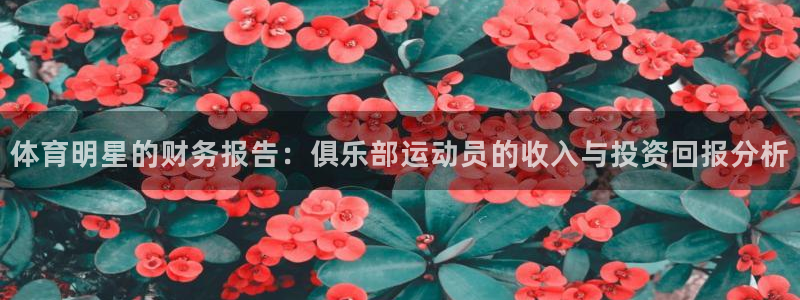 雷鸟体育ios官网入口：体育明星的财务报告：俱乐部运动员的收入与投资回报分析
