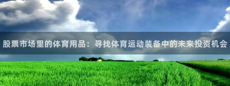雷鸟体育app下载官网：股票市场里的体育用品：寻找体育运动装备中的未来投资机会
