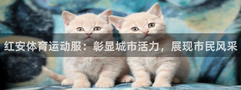 雷鸟体育官网入口：红安体育运动服：彰显城市活力，展现市民风采