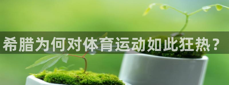 雷鸟体育app下载官网：希腊为何对体育运动如此狂热？