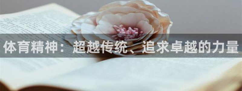 雷鸟体育nba直播：体育精神：超越传统、追求卓越的力量