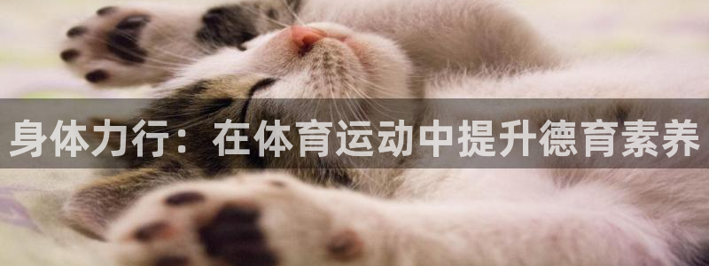 雷鸟体育app下载官网：身体力行：在体育运动中提升德育素养