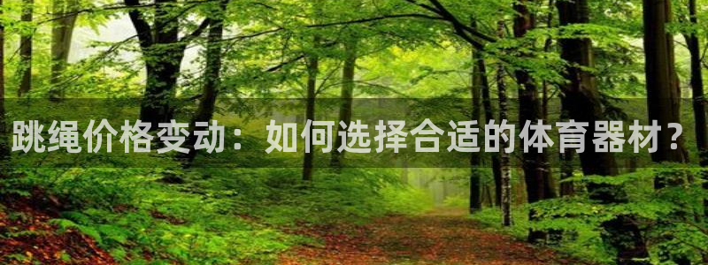 雷鸟体育app：跳绳价格变动：如何选择合适的体育器材？